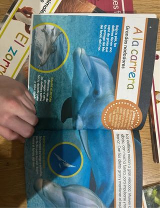 cuentos/ libros que tienen actividades de animales