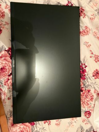 Monitor Gaming ASUS TUF VG1R Pannello IOS DA 165