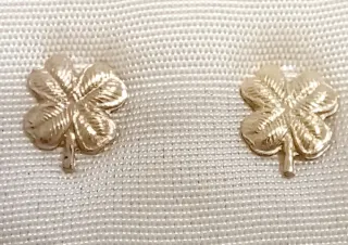 Pendientes chapados en oro