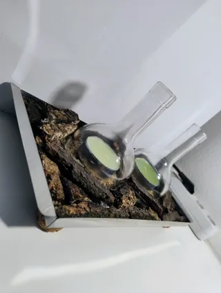 Doppio portacandele in vetro e metallo