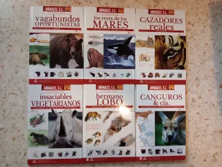 12 libros de animales y 12 DVD a todo color