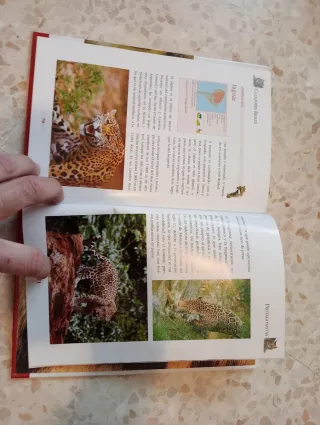 12 libros de animales y 12 DVD a todo color