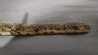 Cintura Guido Vietri vera pelle