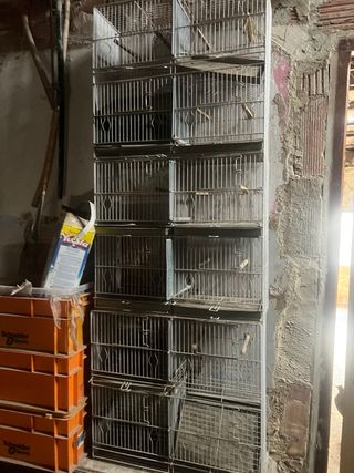 Gabbie per uccelli singoli