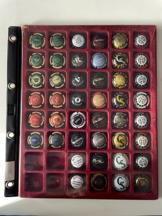 Bandeja Colección Chapas Cava