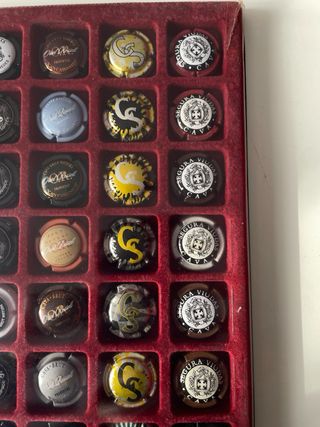 Bandeja Colección Chapas Cava