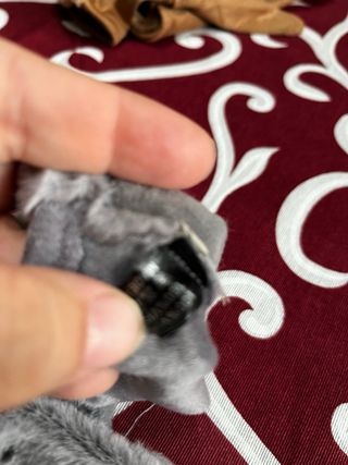 Guanti donna grigi con fibbia dorata