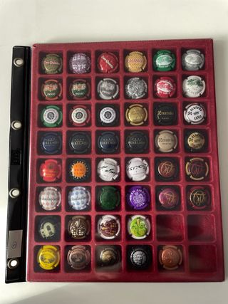 Bandeja Colección Chapas Cava