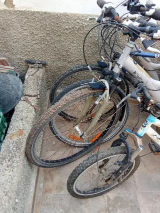 Bicicletas de paseo