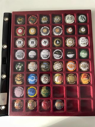 Bandeja Colección Chapas Cava