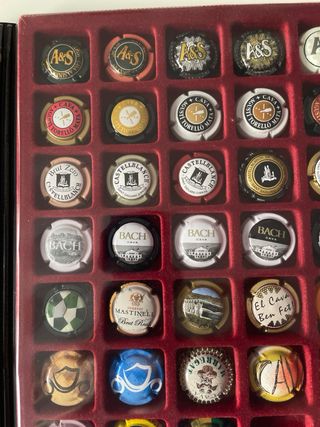 Bandeja Colección Chapas Cava