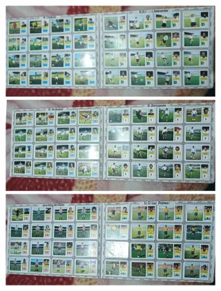 Campeonato de Liga 1973-74