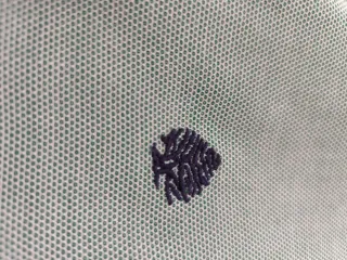 Camisa Springfield verde