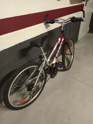 Bicicleta Orbita Warrior Morada