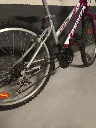 Bicicleta Orbita Warrior Morada
