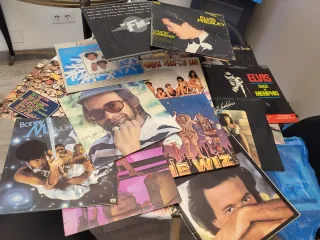 Lote Vinilos Internacionales y Nacionales