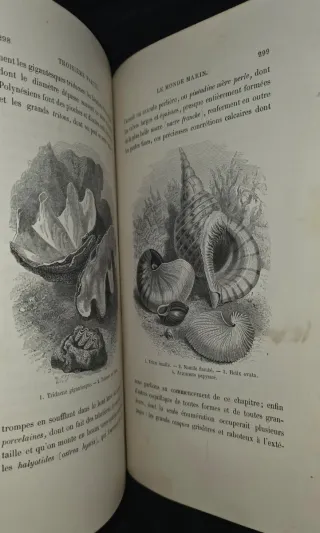 1868, Libro antiguo Monstruos Marinos