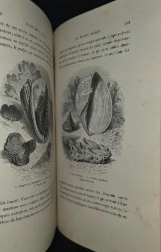 1868, Libro antiguo Monstruos Marinos