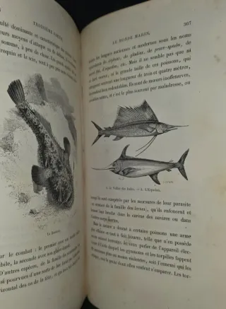 1868, Libro antiguo Monstruos Marinos
