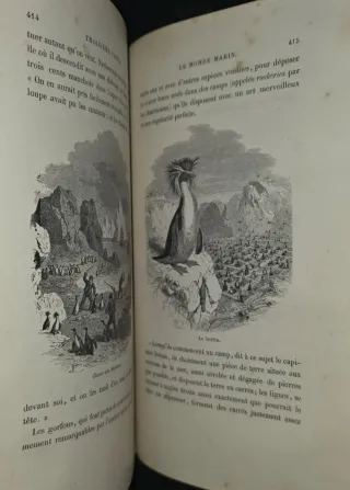 1868, Libro antiguo Monstruos Marinos