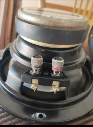 Altavoces Pioneer TS-E2095 300W MAX