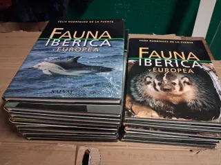 Fauna ibérica y europea