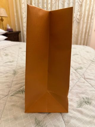 Busta Louis Vuitton Arancione Originale 34x40