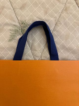Busta Louis Vuitton Arancione Originale 34x40