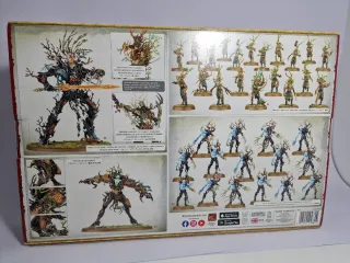 Warhammer Age of Sigmar Sylvaneth Outcast Spitegro