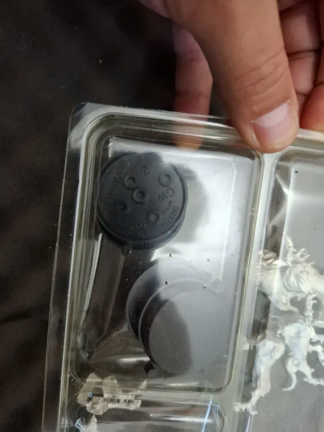 Warhammer Chaos Fleshounds of Khorne