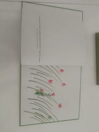 ¿Quieres jugar conmigo? (Spanish Edition)