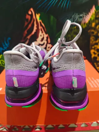 Nike Pegasus Premium FK Morado/Verde