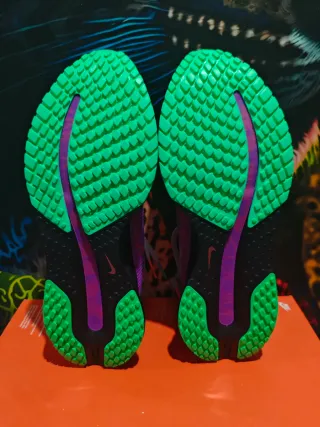 Nike Pegasus Premium FK Morado/Verde