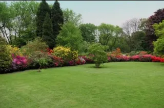 Mantenimiento jardín