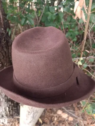 Sombrero de invierno marrón