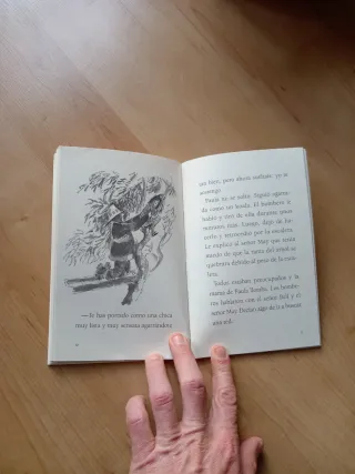 Las peleas de Inés y Paula (Spanish Edition)