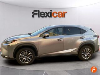 Lexus NX 2.5 300h Business 2WD