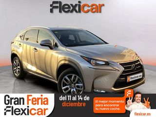 Lexus NX 2.5 300h Business 2WD