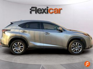 Lexus NX 2.5 300h Business 2WD