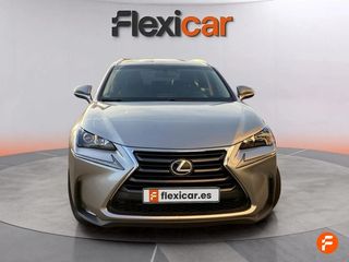 Lexus NX 2.5 300h Business 2WD