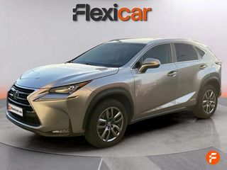 Lexus NX 2.5 300h Business 2WD