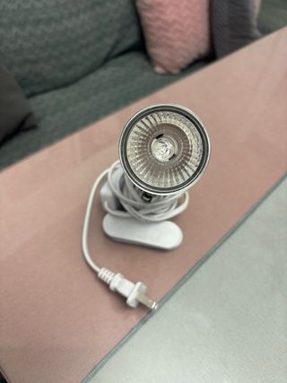 Foco térmico para reptiles