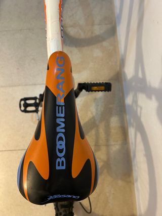 Bicicleta Boomerang 24