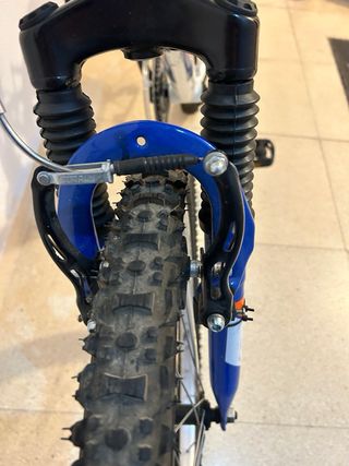 Bicicleta Boomerang 24