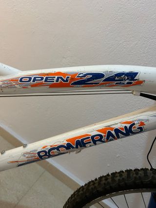 Bicicleta Boomerang 24