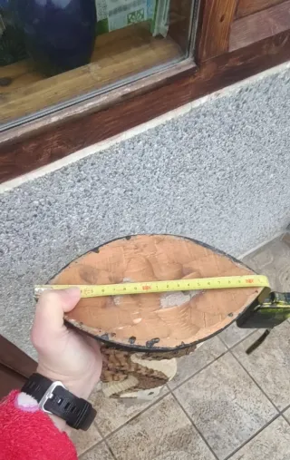 FIGURA CABALLITO DE MAR DECORATIVO, DE MADERA/TELA