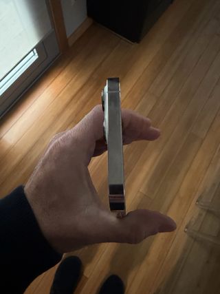 iPhone 13 Pro Max bianco/Argento