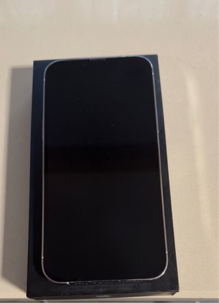 iPhone 13 Pro Max bianco/Argento