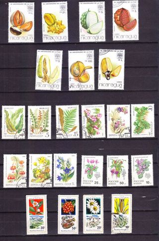 Lote sellos flores y plantas diversos países