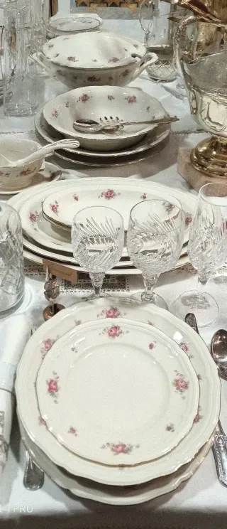 Seltmann Weiden Bavaria servizio tavola porcellana